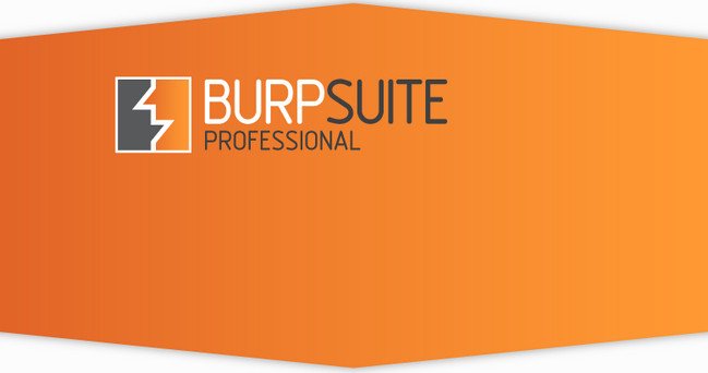 Burp Suite Professional 2024.5.4