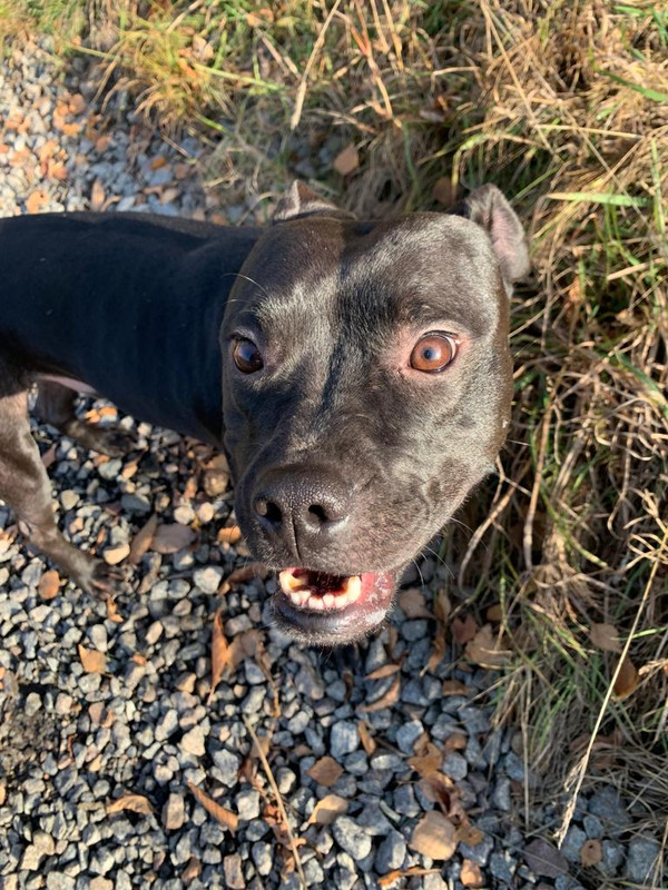 DD882E87-554B-4E58-8054-B2AA13DCDBB8