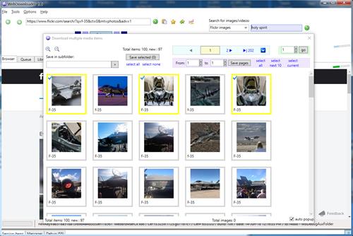Saleen Web Downloader 1.0.0.668 Saleen Web Downloader 1.0.0.668