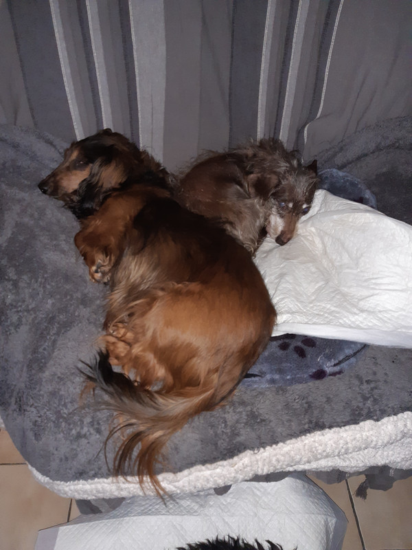 [Image: 20210227-120327.jpg]