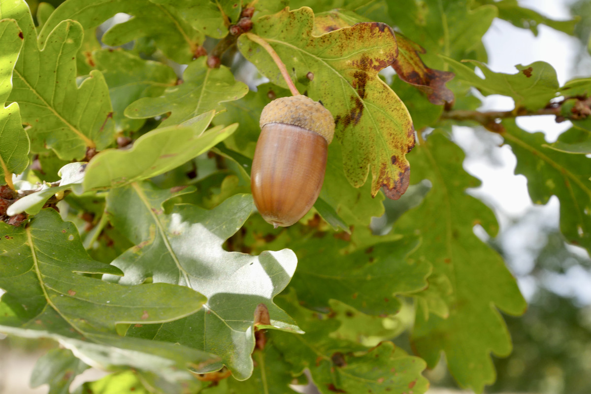 4F6E4820-D790-4359-B9A8-EF481C9ABD1B