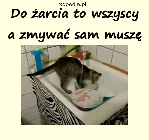 55c7a1f175274701687d7223ea1e346d5664.gif