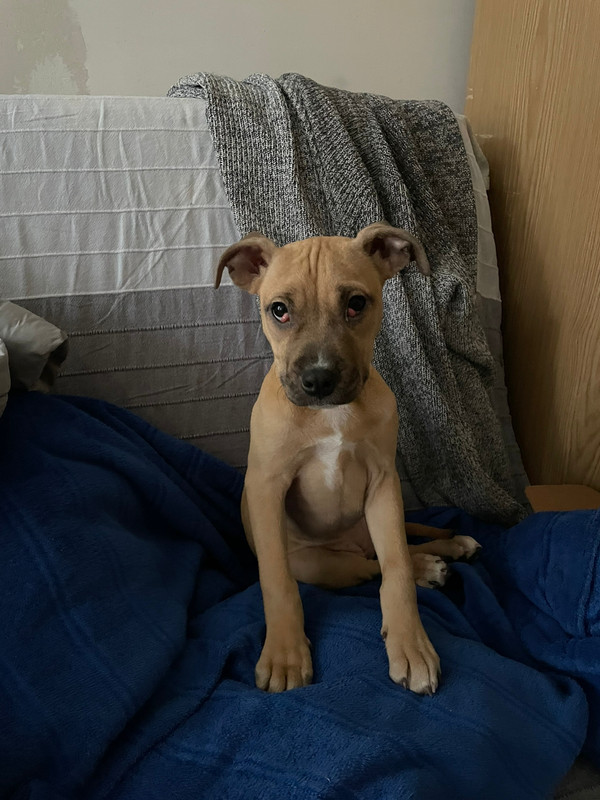 D72FE93D-BABB-4003-866D-78D8348FE766