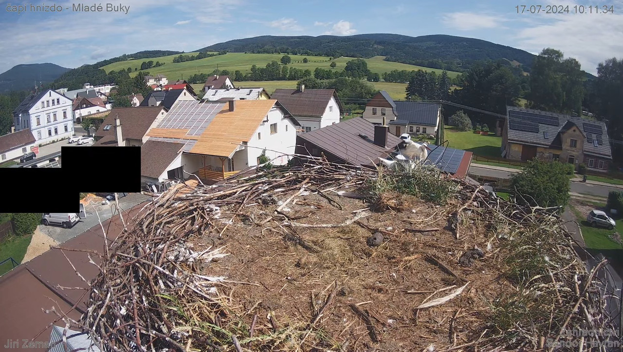 Tiešraides kamera — Mladé Buky — stārķa ligzda 12-43-22 screenshot