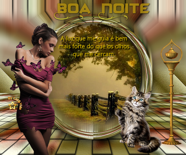 novo679-MB-maryluz.png