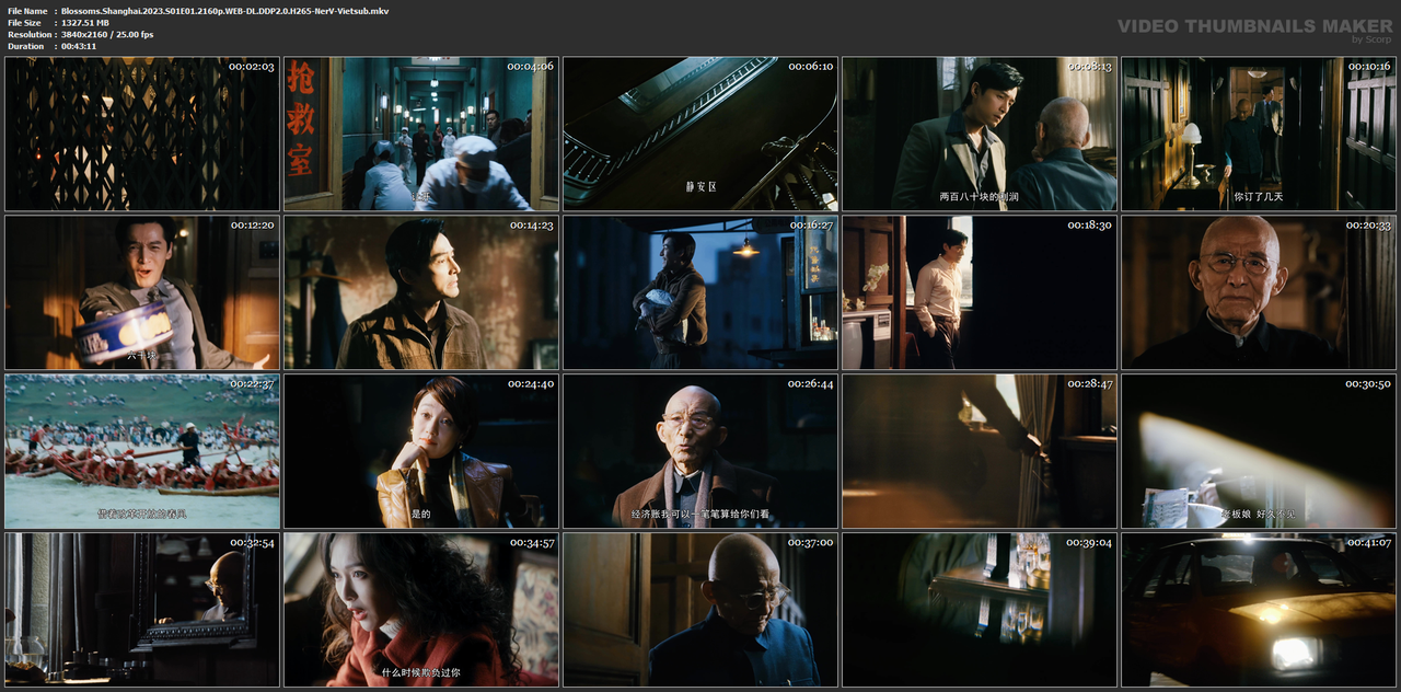 Blossoms.Shanghai.2023.S01E01.2160p.WEB-DL.DDP2.0.H265-NerV-Vietsub.mkv