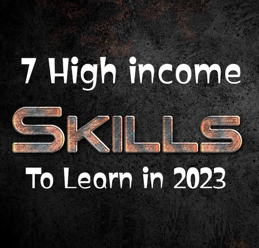 High Income Skills