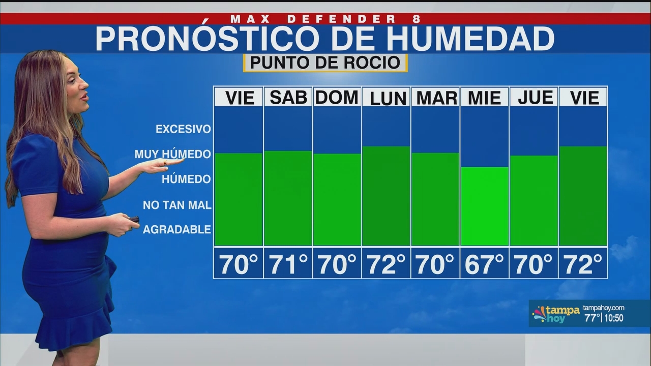 Noticias Tampa Hoy_20250509_03300400.ts_snapshot_21.51.062