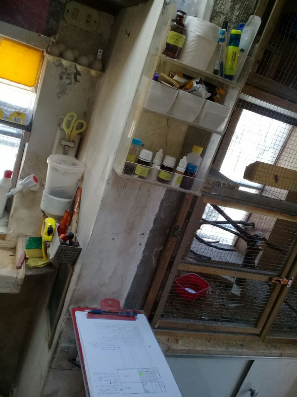 IMG-20180422-WA0032