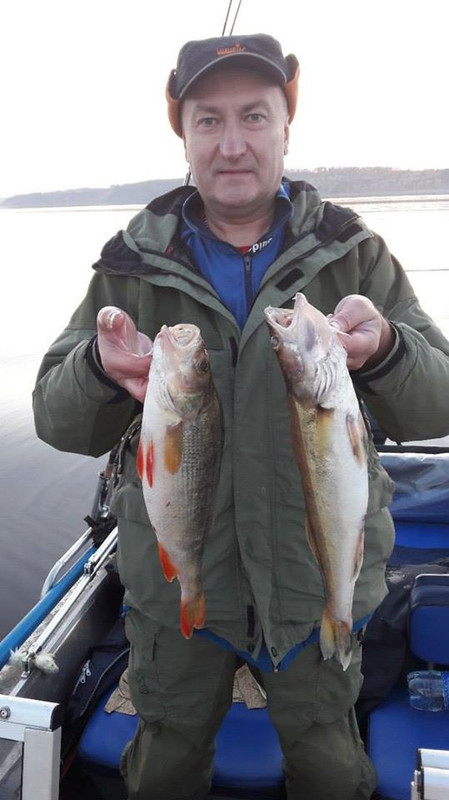 окунь джиг спиннинг судак щука мастер-класс Куляпин Андрей катушка приманка окунь (4)