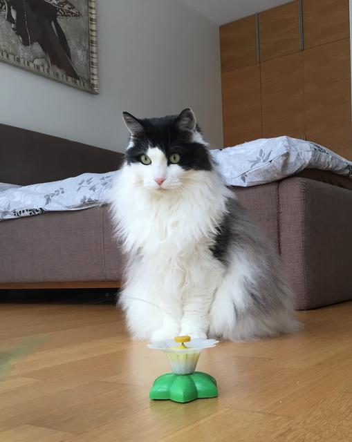 E0406-B34-7-BA6-48-BE-849-D-BEC586-B43-B