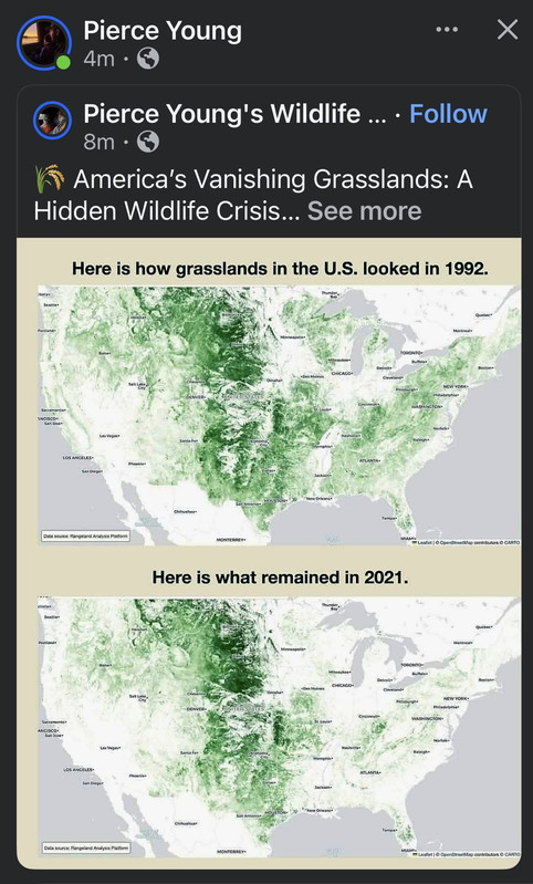[Linked Image from i.postimg.cc]