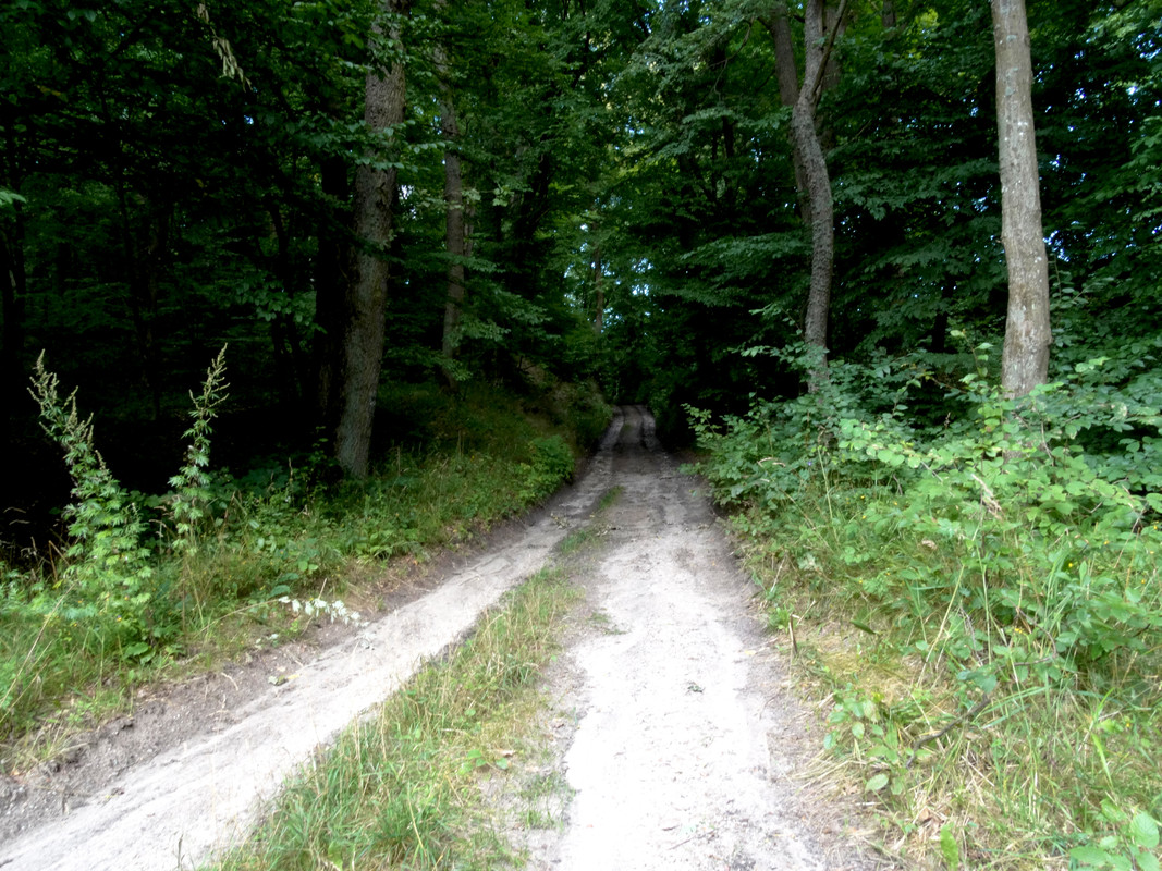 23.10 - DSC07626 (Czesio1)