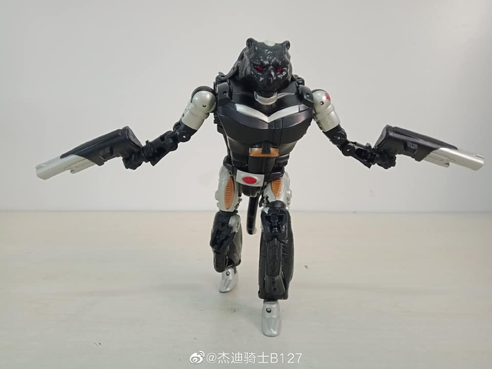 Transformers-War-For-Cybertron-Covert-Agent-Ravage-17