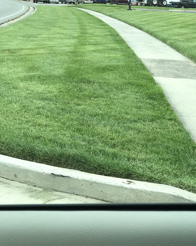 7C429A9C-5915-4F22-9778-2E9750AF38E4