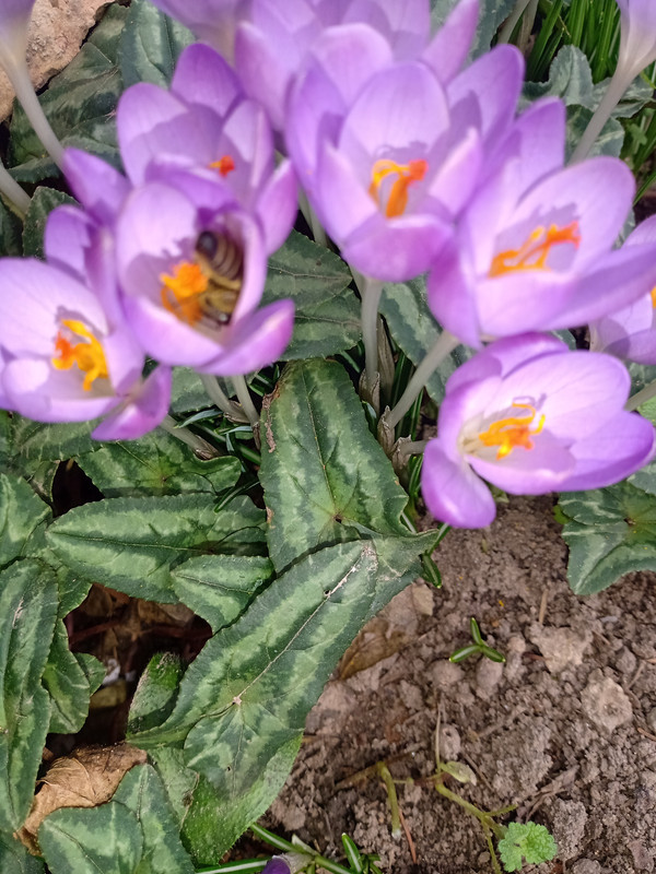 IMG_20200227_112440992