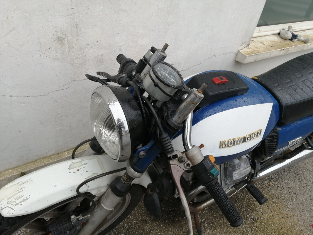Funky Guzzi