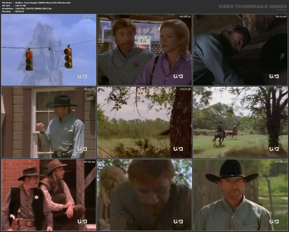 Walker, Texas Ranger S08E04 Way of the Warrior.mkv