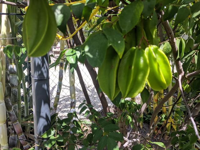 [Image: IMG-20190612-114239.jpg]