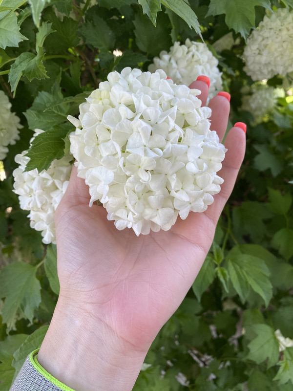 126842DB-4E0E-4EF0-8913-DFF8EEFCAD07