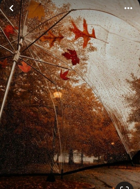 Screenshot_20231222_175435_Pinterest