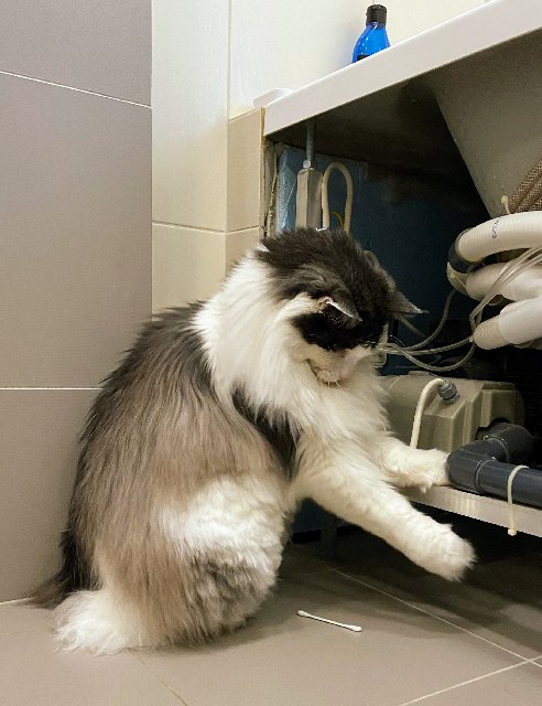 D6297-C78-0893-43-F1-A1-BC-9-FBF732-C491