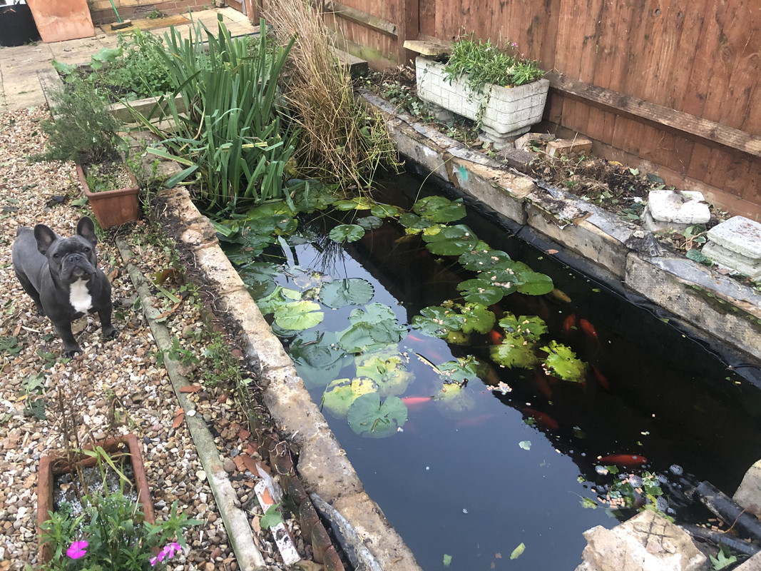 5A95DBC2-222E-455B-B54F-4AFF2097BE14