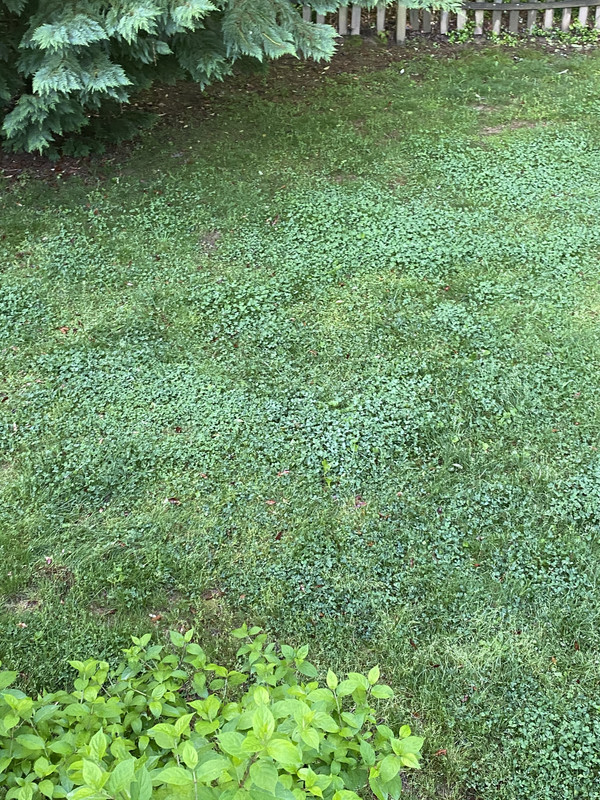 D8EDFA2D-2C4B-41BB-A323-9EB7089745AA