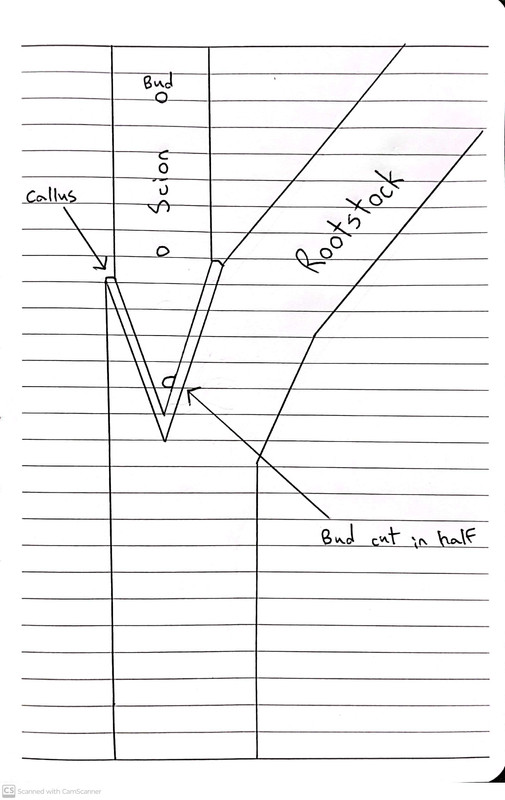 CamScanner 04-11-2025 08.30_1