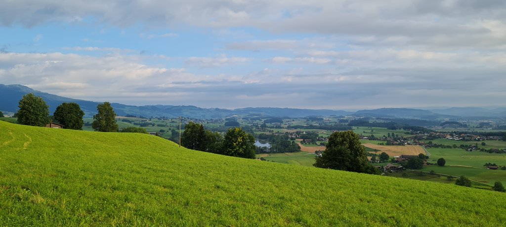 DONAUESCHINGEN - TITISEE - FRIBURGO IM BRISGAU : 24 horas a lo alemán - Suiza: 7 veranos, 7 planes con niños (13)