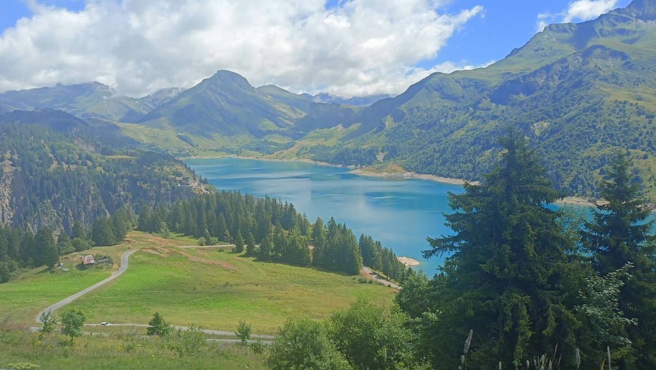 IMG20250717121606 (Large)