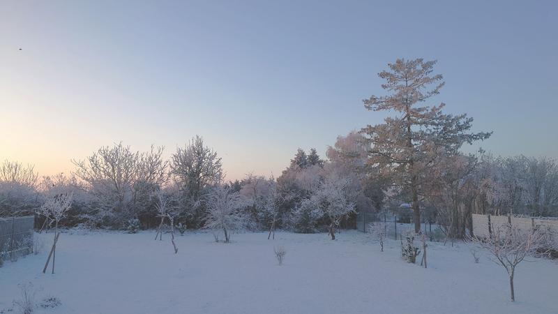 [Image: 2026-01-06-(4)-apres-chute-de-neige.jpg]