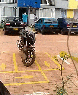 daily-gifdump-3405-29.gif