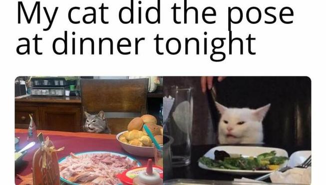 copycat-0.jpg