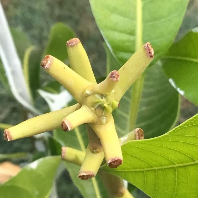 7329F64E-A091-4548-83F8-DD6E860125B2