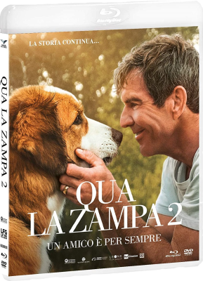 Qua la zampa 2 – Un amico è per sempre (2019) BLURAY FULL AVC DTS HD ITA ENG