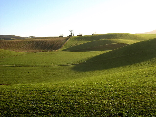 field