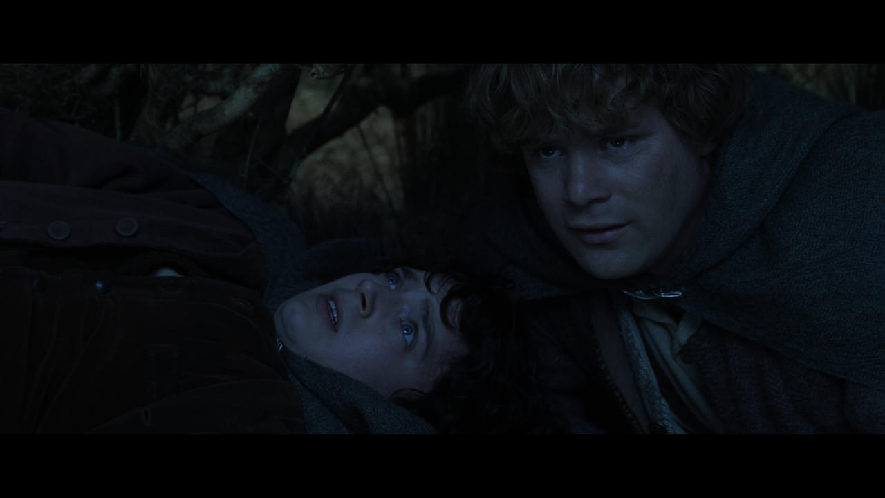 The Lord of the Rings- The Two Towers (EXT.) PT. 1.mkv_snapshot_00.49.47_[2020.12.08_18.00.35]