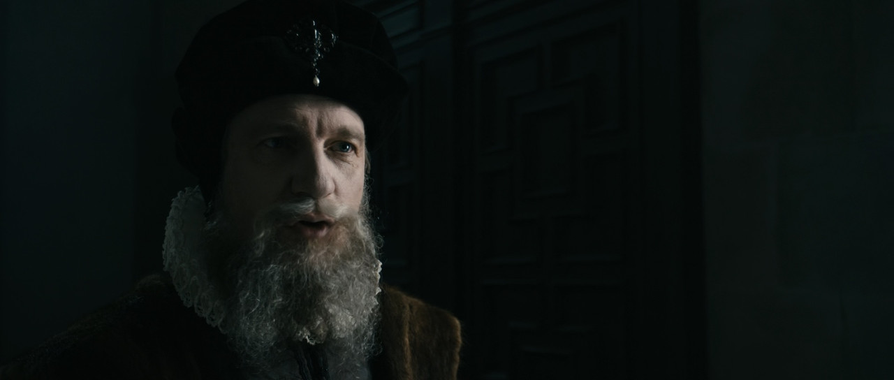 Anonymous 2011 (1080p x265 10bit Tigole).mkv_sna