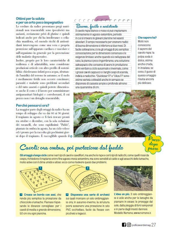 Pol Ver Ago 2024 (6)