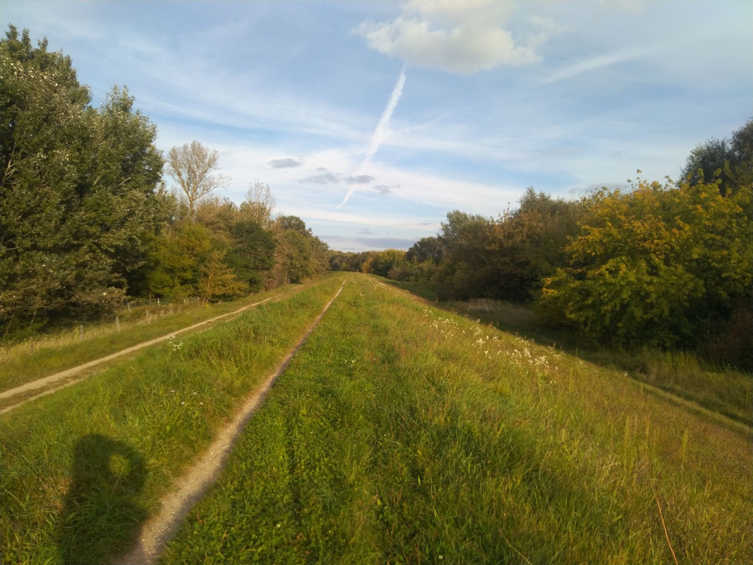 IMG-20210928-162504.jpg
