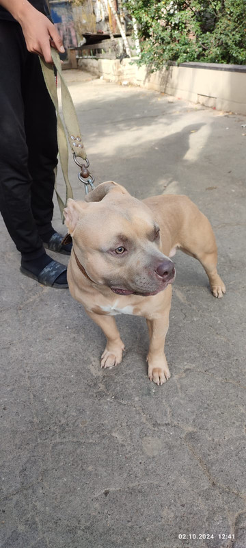 WhatsApp Image 2024-10-02 at 13.10.39 (2)