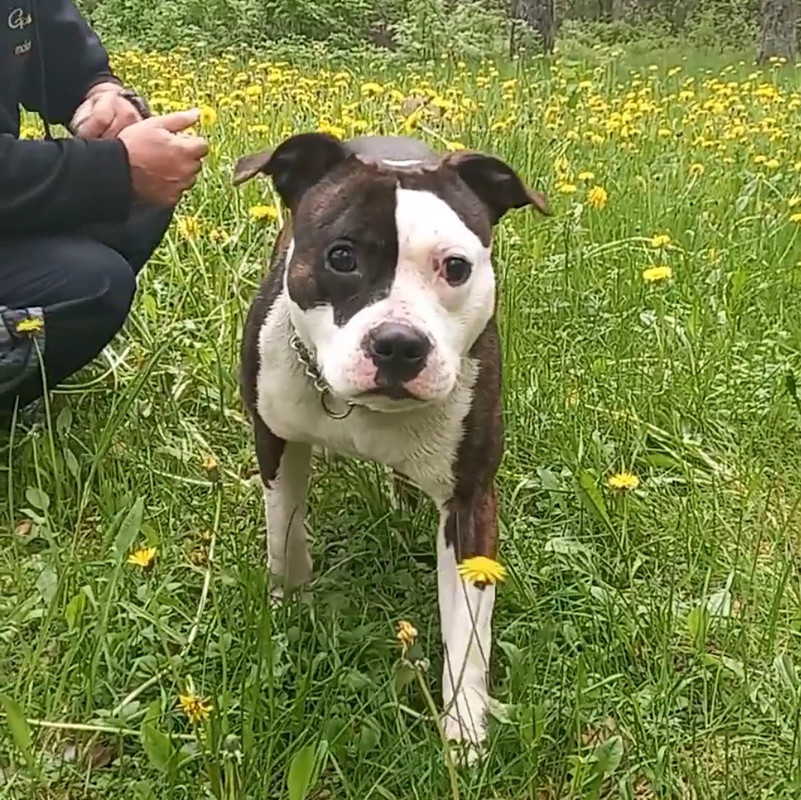 053F38E6-ACE3-480C-99C1-CA2E8C76EB55