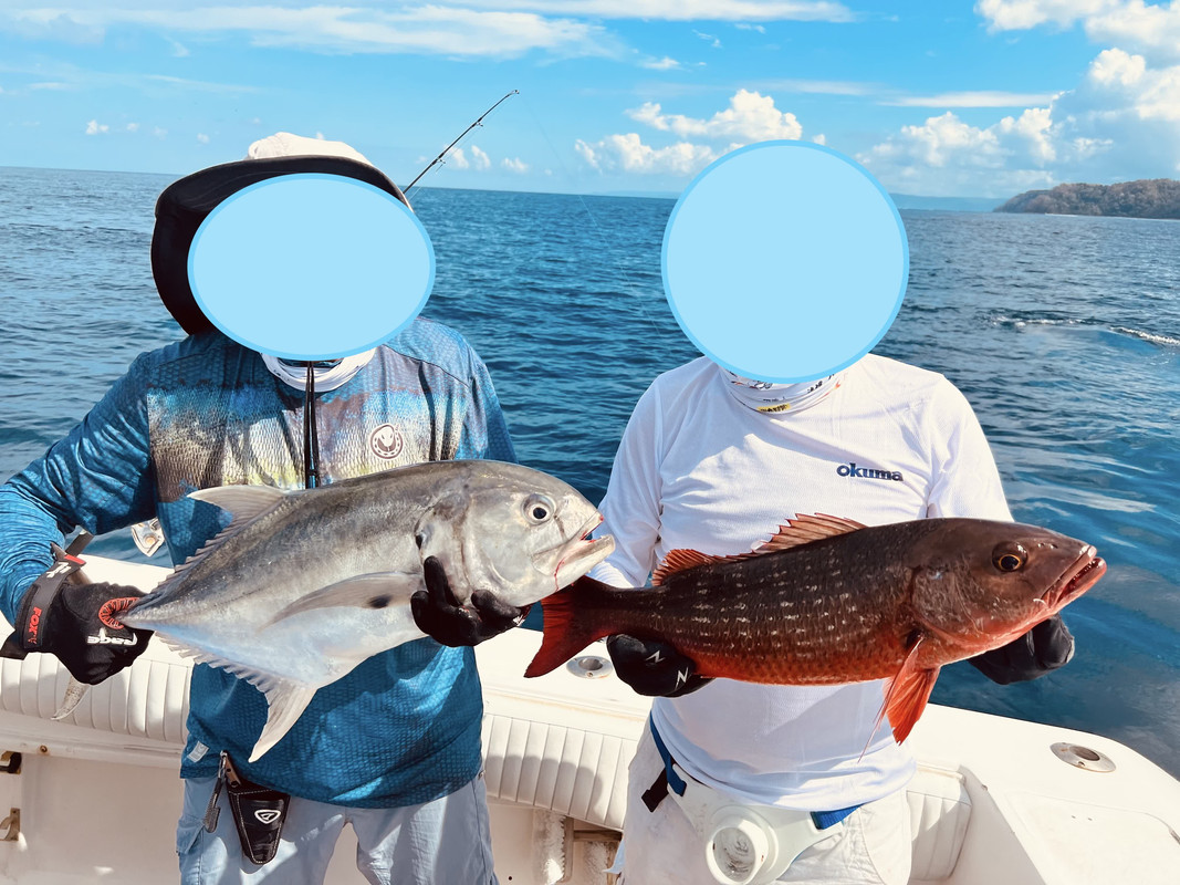 IMG_026204 (Conflicto de mayúsculas y minúsculas)