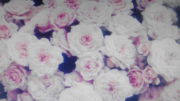 Rose Lalonde's banner