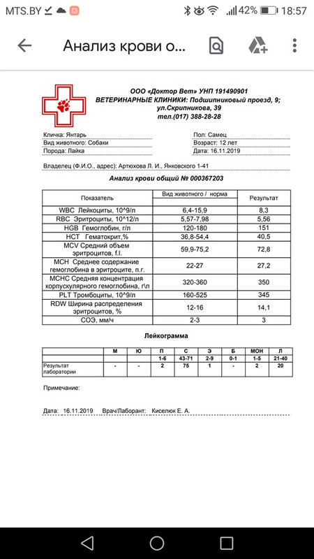 кровь Янтаря 2