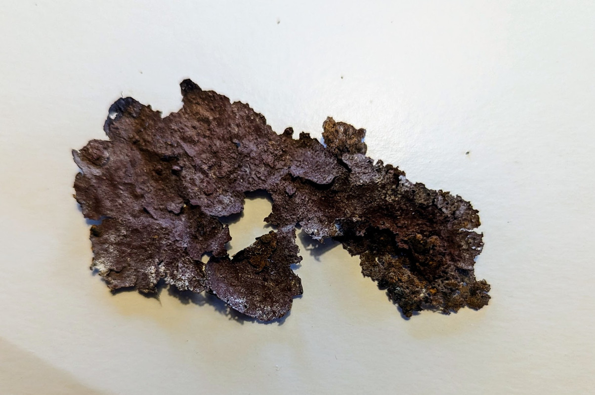 PXL_20240202_083452415.MP