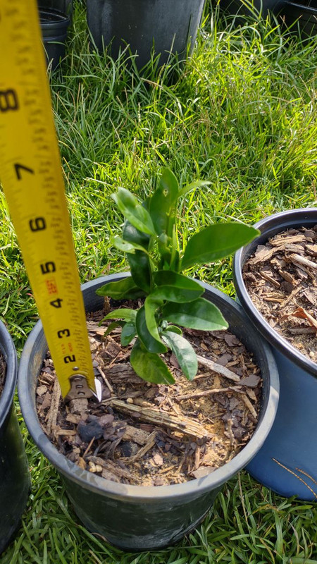 photo_2025-07-23_09-30-07 (6)