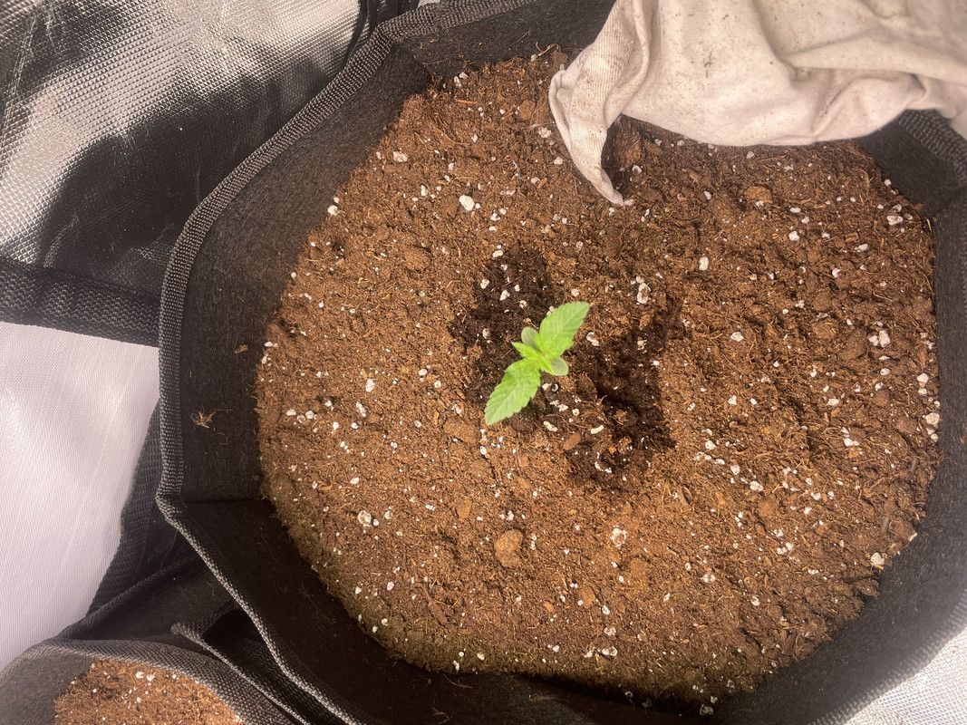 1A08D7F6-8760-449D-900B-162453D7DD98