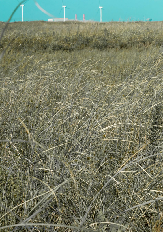 046